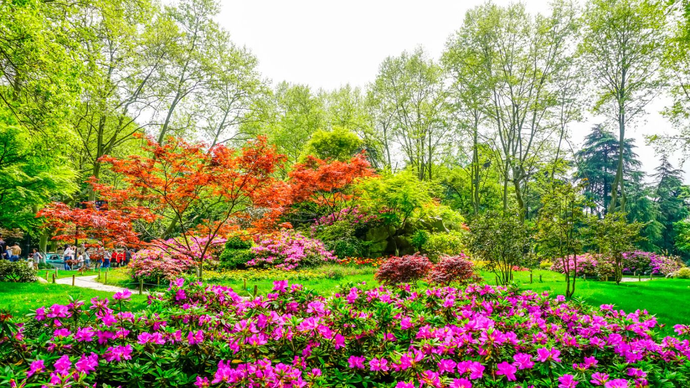 Best Budget-Friendly Wedding Photography Packages in Gorakhpur