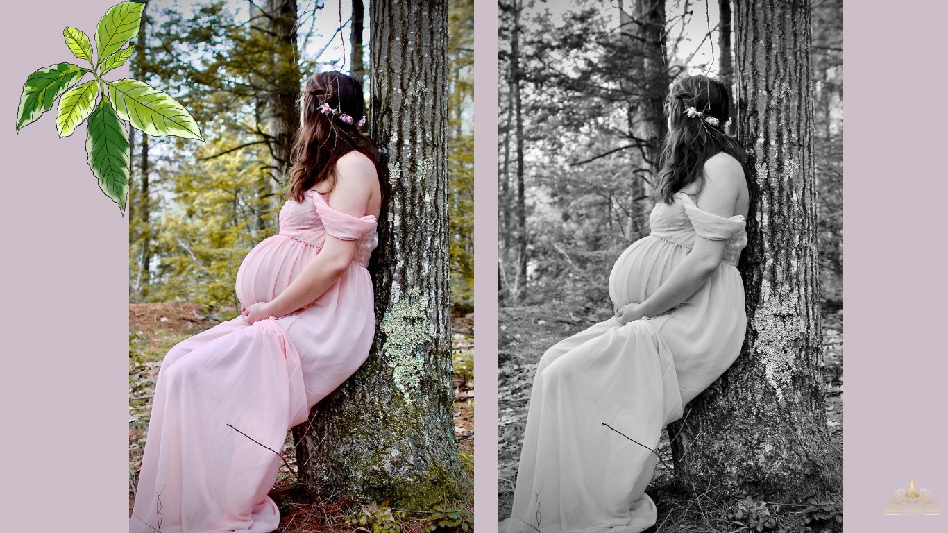 Baby Bump Shoot in Gorakhpur – Celebrate the Beauty of Motherhood